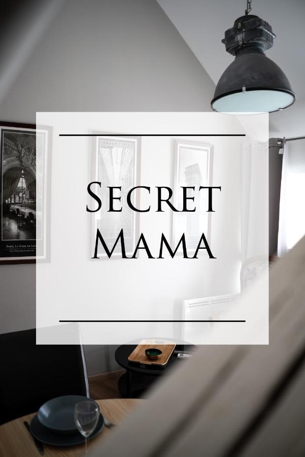 Secret Mama With Aircon 150 Meters From Parking Rapp Apartment Colmar Ngoại thất bức ảnh