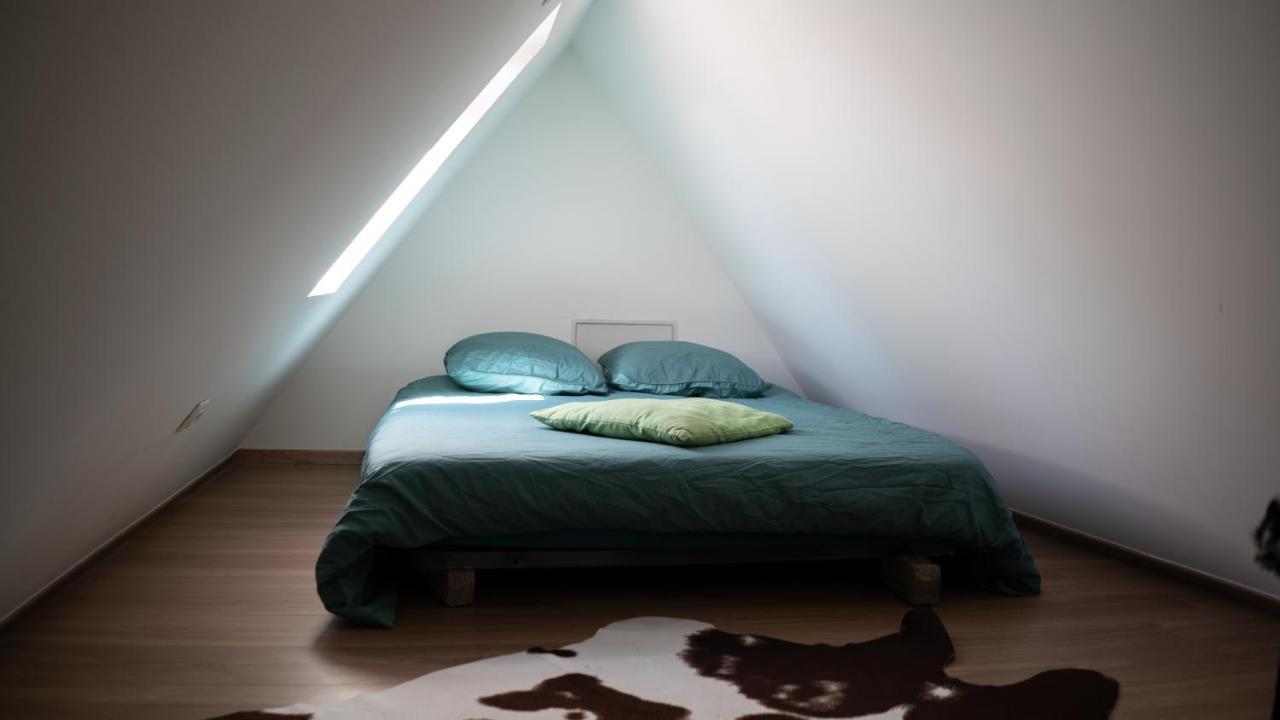 Secret Mama With Aircon 150 Meters From Parking Rapp Apartment Colmar Ngoại thất bức ảnh